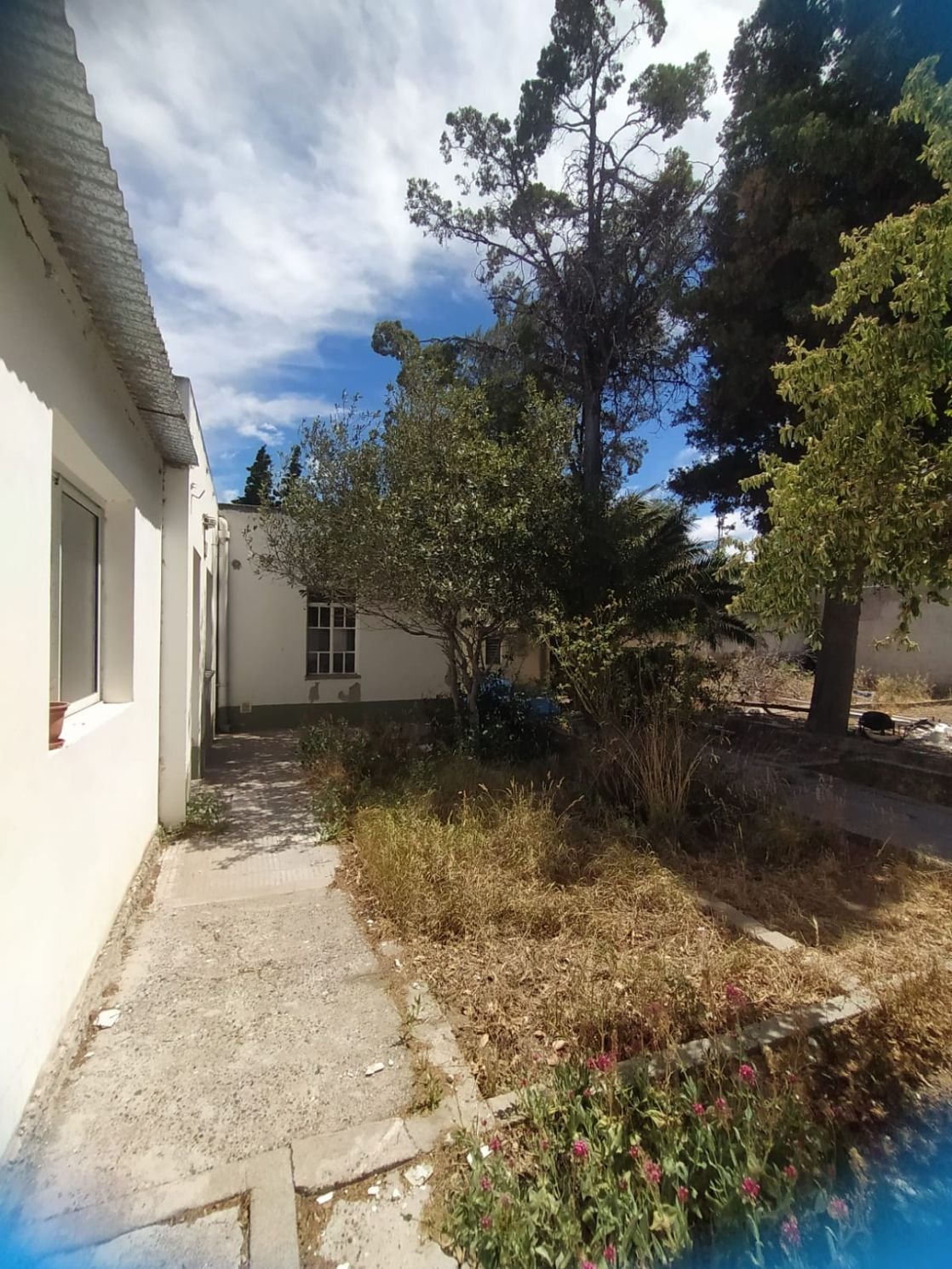 Lote céntrico de 561 m2 19