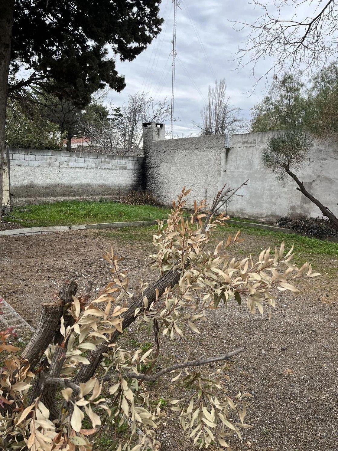 Lote céntrico de 561 m2 1
