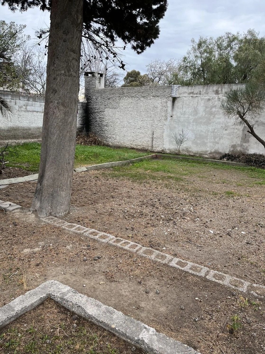 Lote céntrico de 561 m2 2